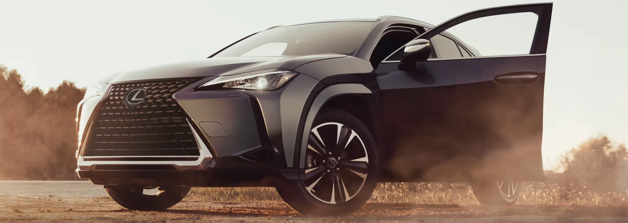 2026 Lexus UX 300h